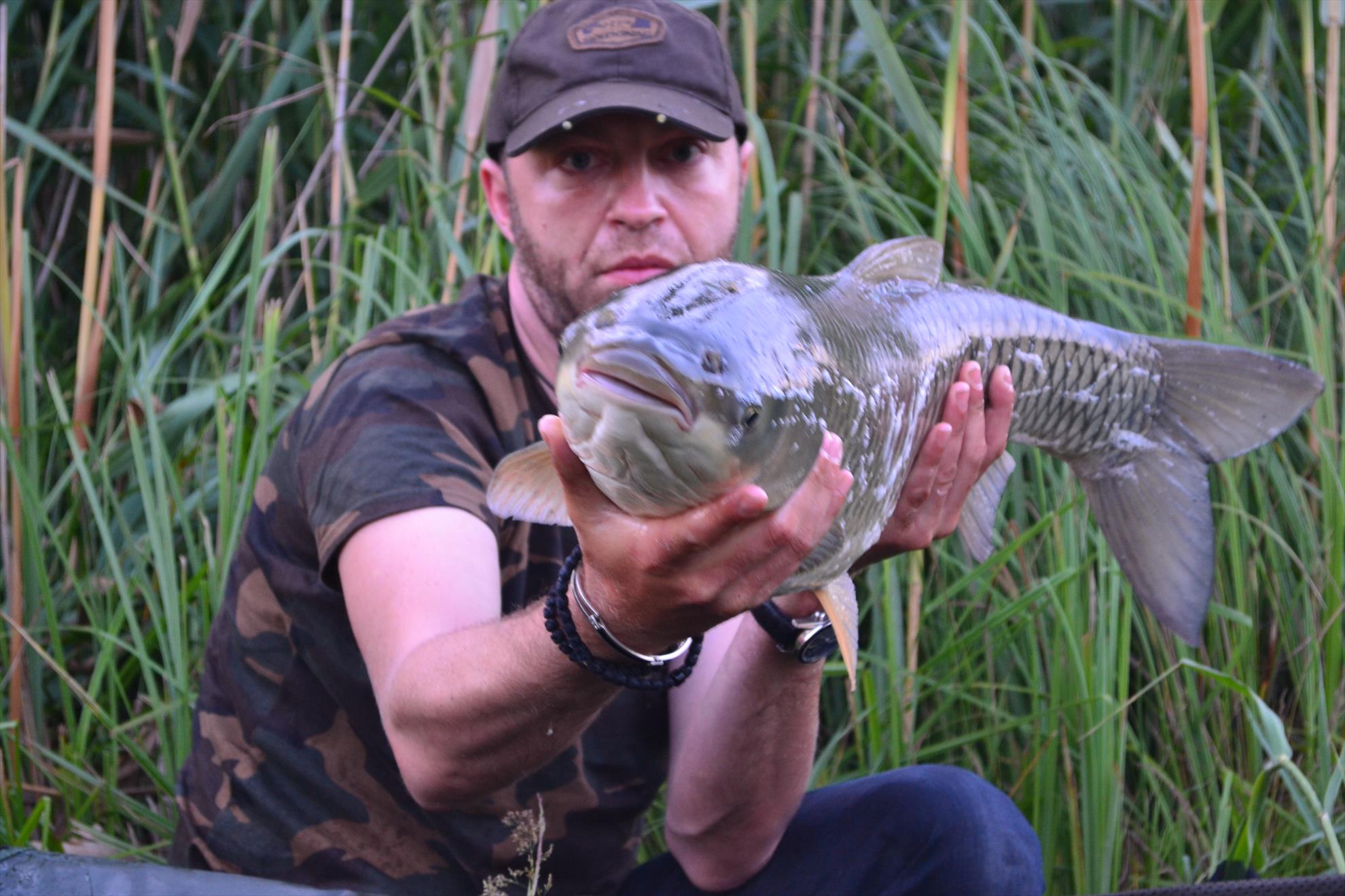 Pescuit Balta Lazar 6-8 iunie 2014 - dsc0009.JPG